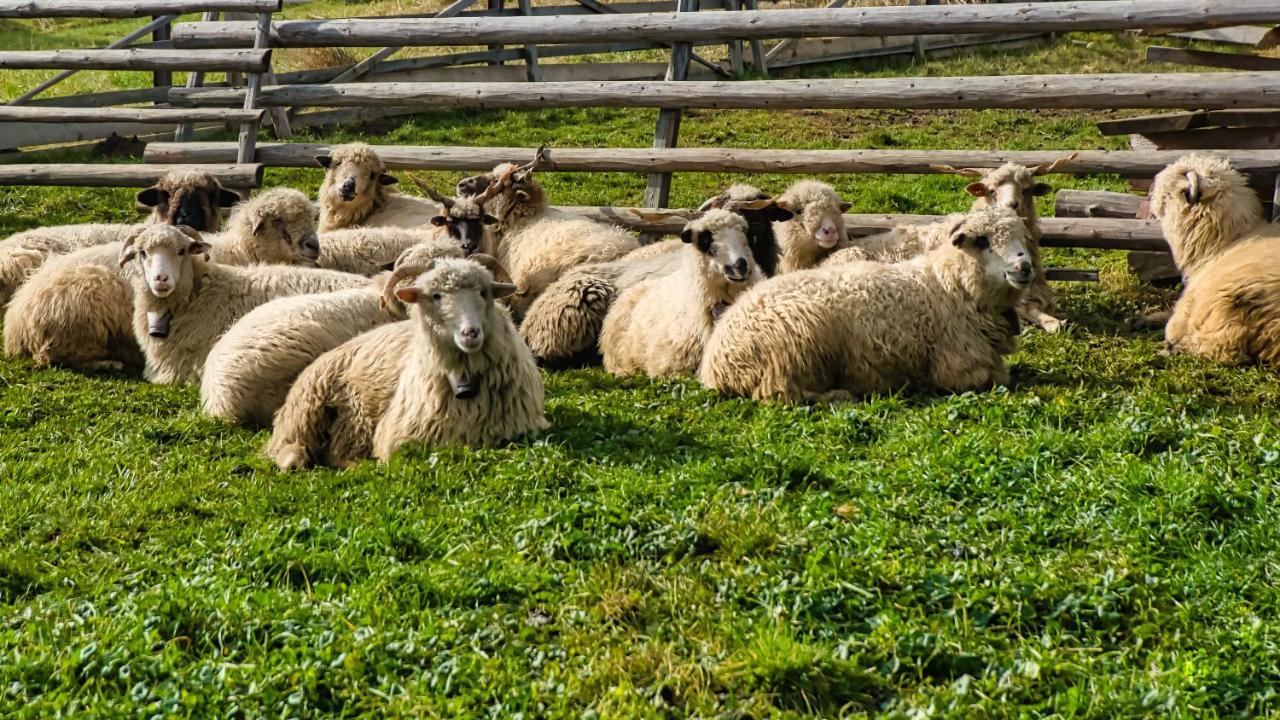 Sichlanski Zakatek Murzasichle Buitenkant foto